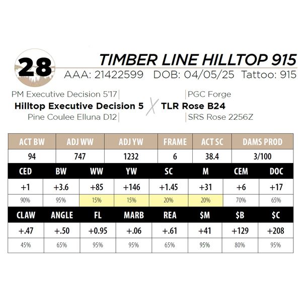 TIMBER LINE HILLTOP 915
