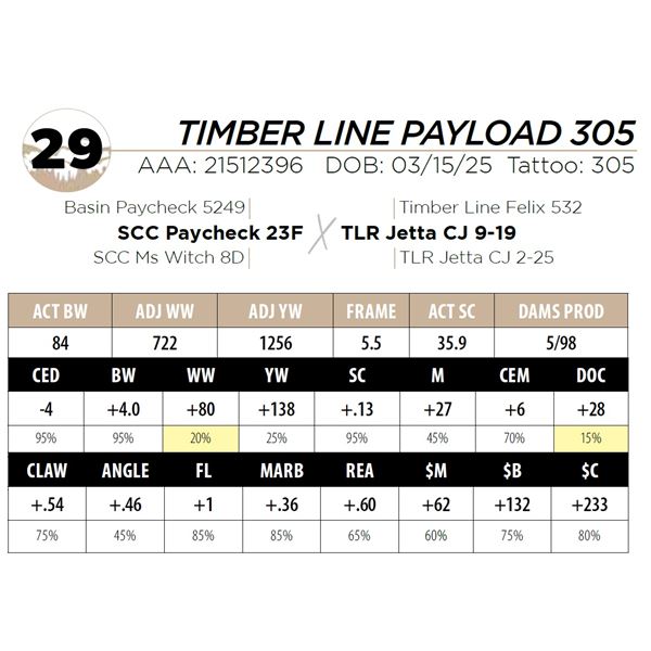 TIMBER LINE PAYLOAD 305