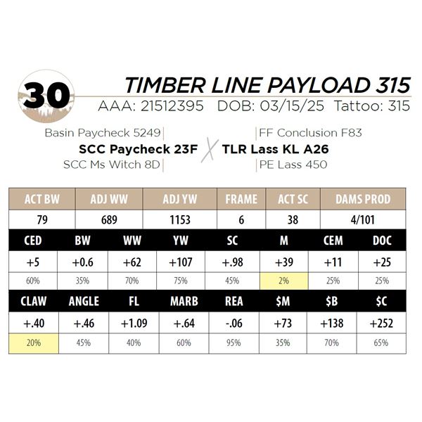 TIMBER LINE PAYLOAD 315