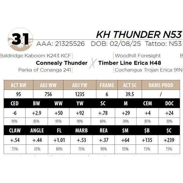 KH THUNDER N53