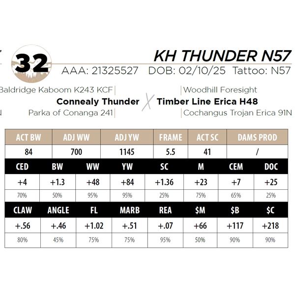 KH THUNDER N57
