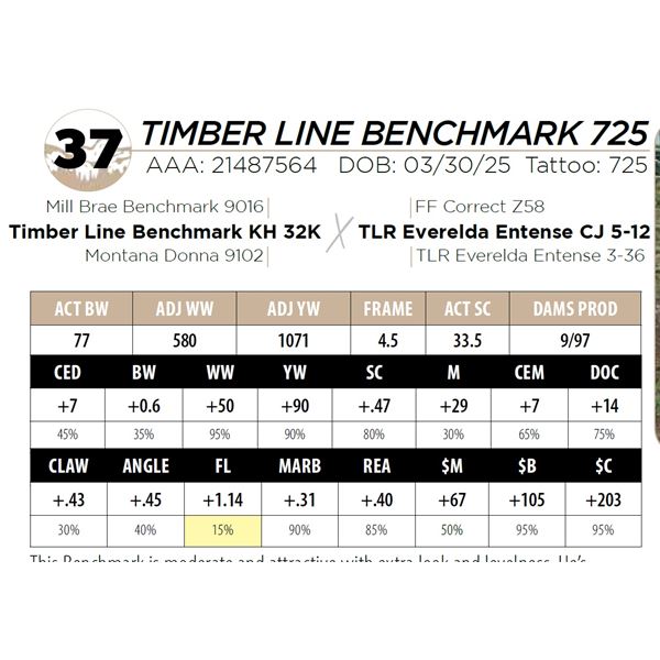 TIMBER LINE BENCHMARK 725