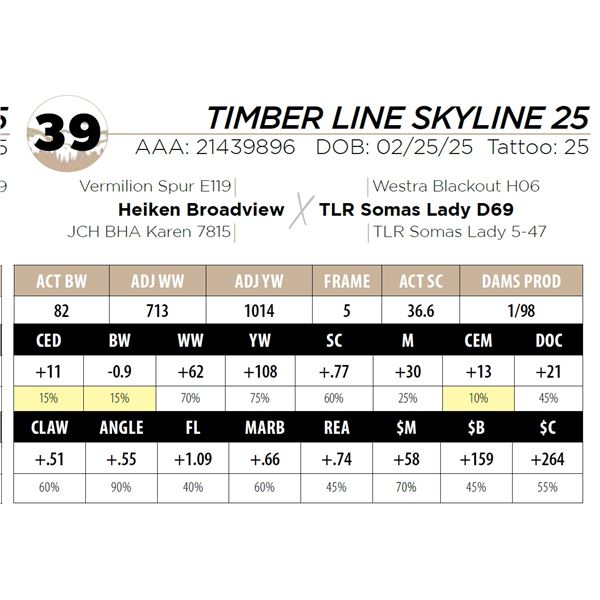 TIMBER LINE SKYLINE 25