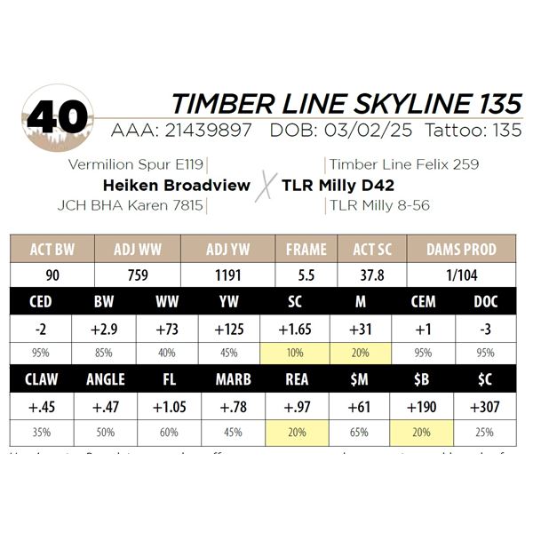 TIMBER LINE SKYLINE 135