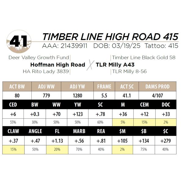 TIMBER LINE HIGH ROAD 415