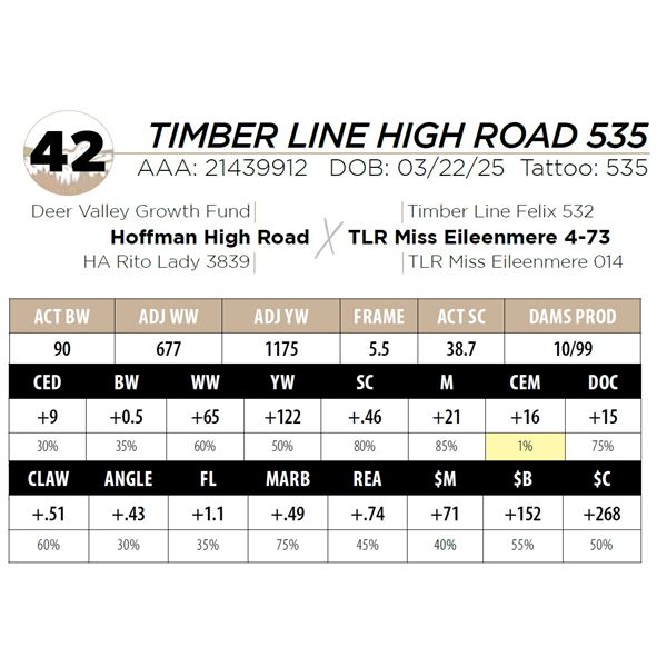 TIMBER LINE HIGH ROAD 535
