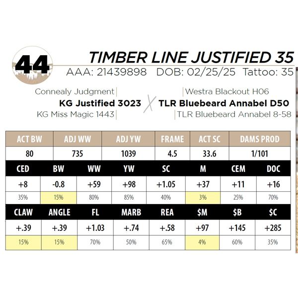 TIMBER LINE JUSTIFIED 35