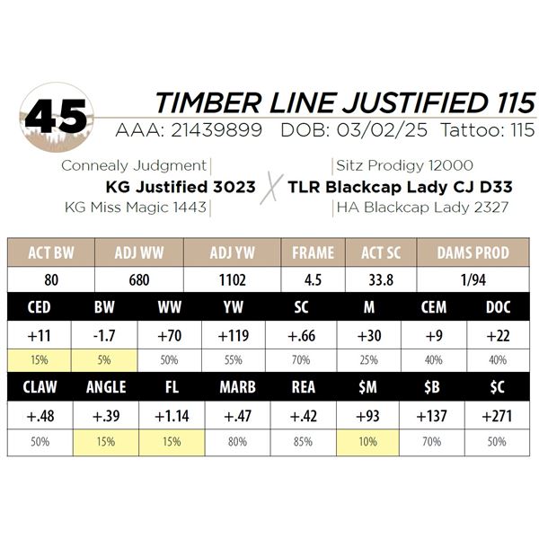 TIMBER LINE JUSTIFIED 115