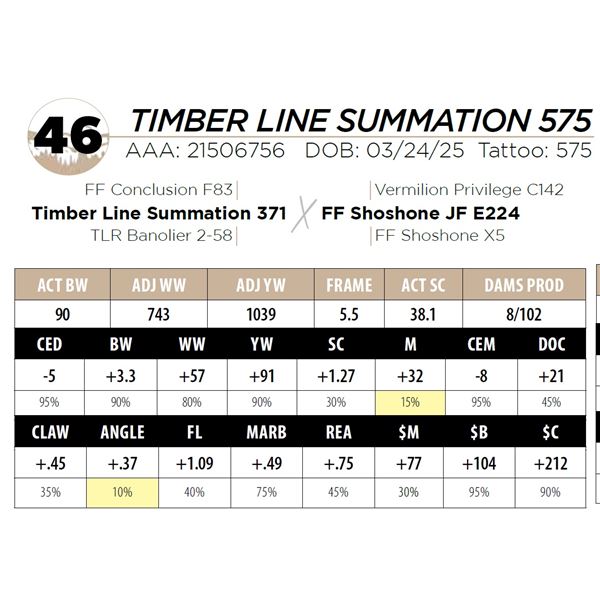 TIMBER LINE SUMMATION 575