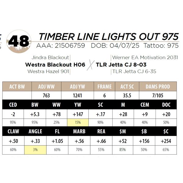 TIMBER LINE LIGHTS OUT 975