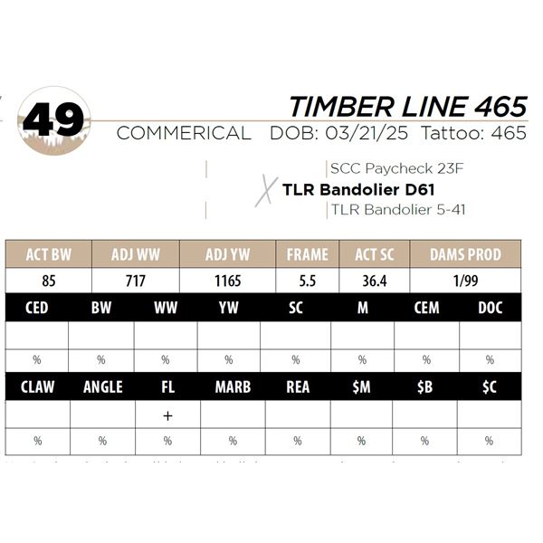 TIMBER LINE 465