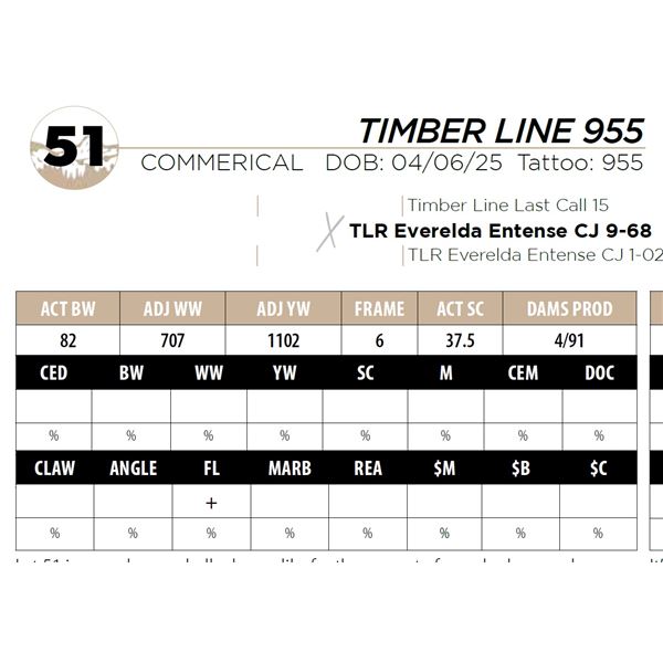 TIMBER LINE 955