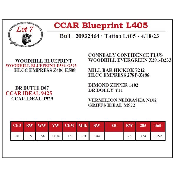 CCAR Blueprint L405