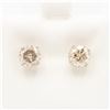 Image 1 : S211-209 14K LIGHT BROWN DIAMOND EARRINGS