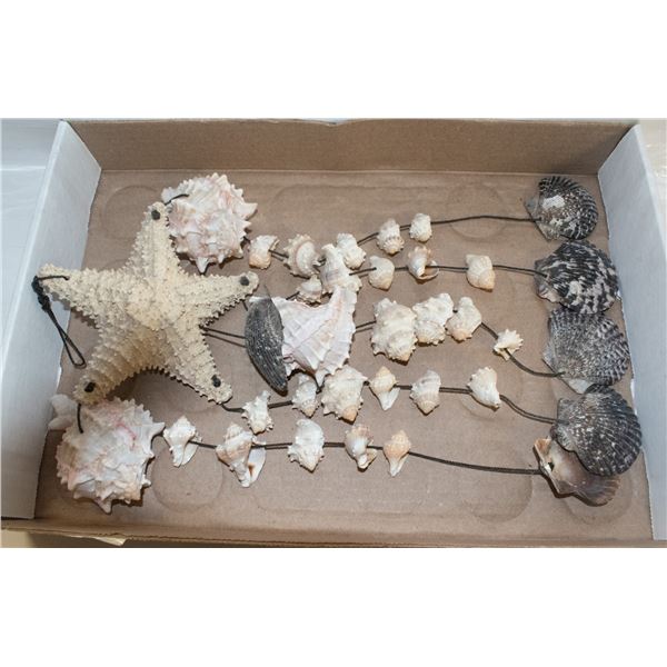 SEA SHELL WIND CHIME