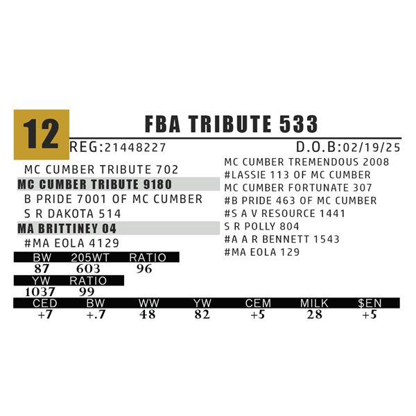 FBA TRIBUTE 533