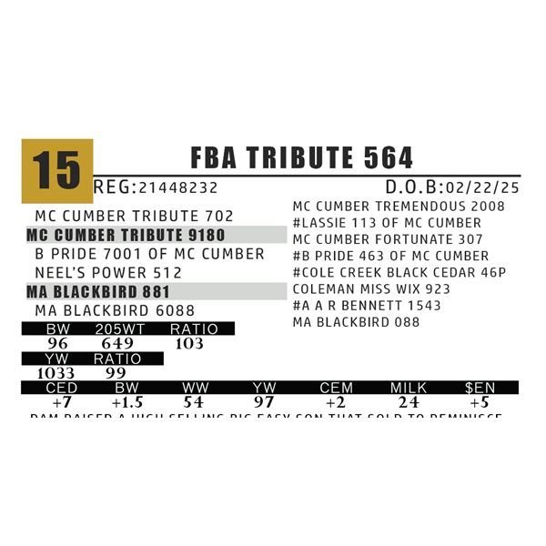 FBA TRIBUTE 564