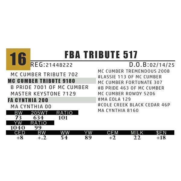 FBA TRIBUTE 517