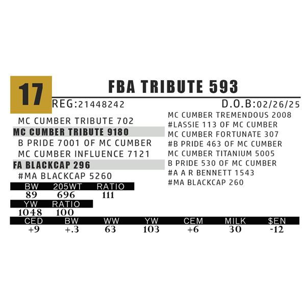 FBA TRIBUTE 593