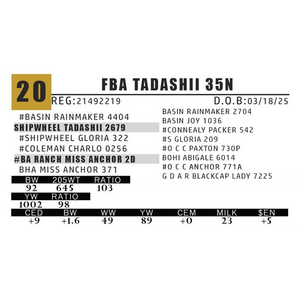 FBA TADASHII 35N