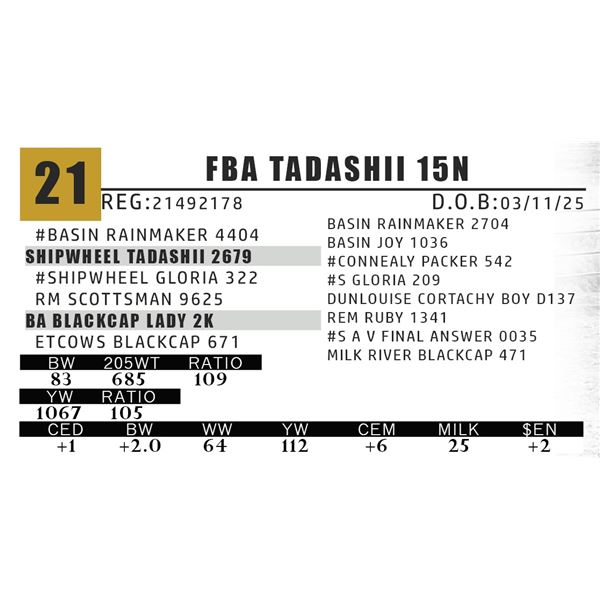 FBA TADASHII 15N