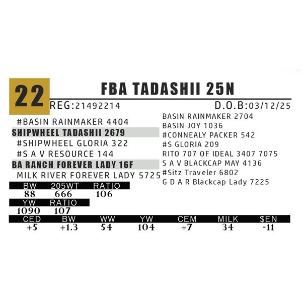 FBA TADASHII 25N