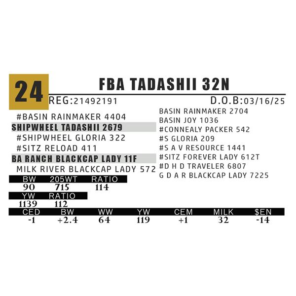 FBA TADASHII 32N