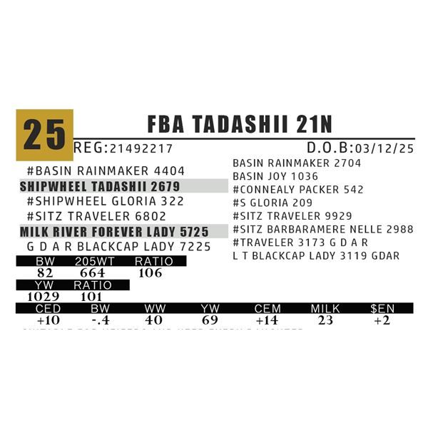 FBA TADASHII 21N