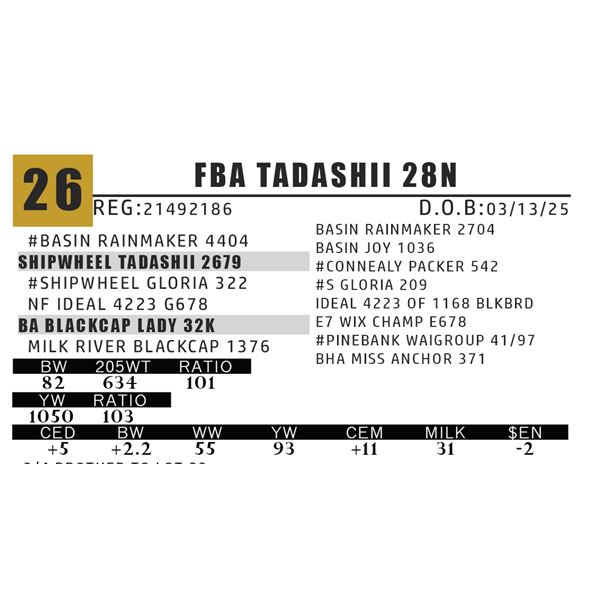 FBA TADASHII 28N