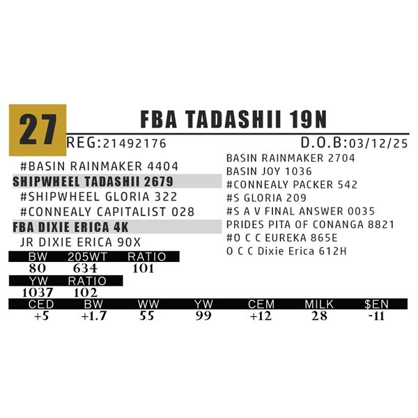 FBA TADASHII 19N