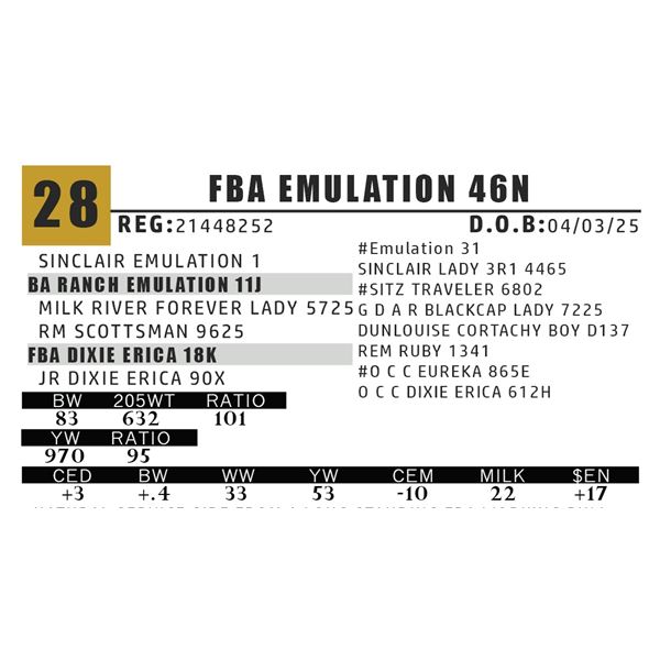 FBA EMULATION 46N