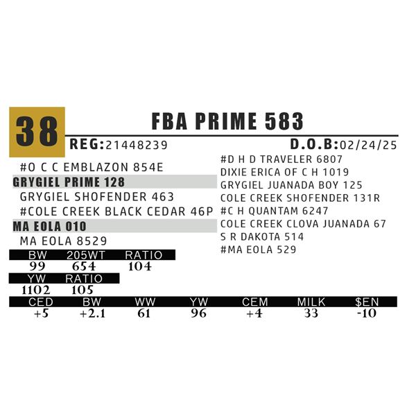 FBA PRIME 583