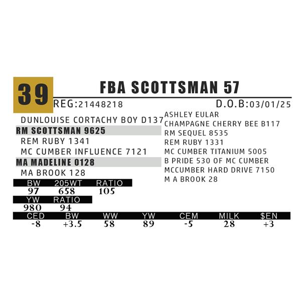 FBA SCOTTSMAN 57