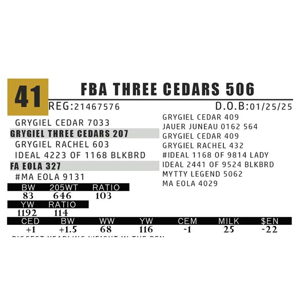 FBA THREE CEDARS 506