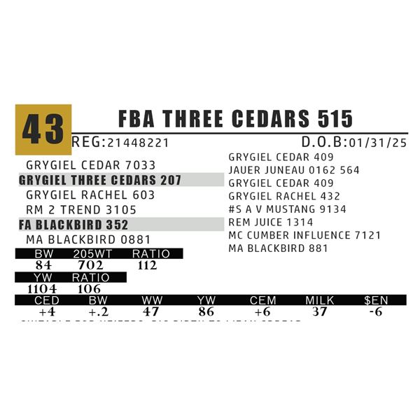 FBA THREE CEDARS 515
