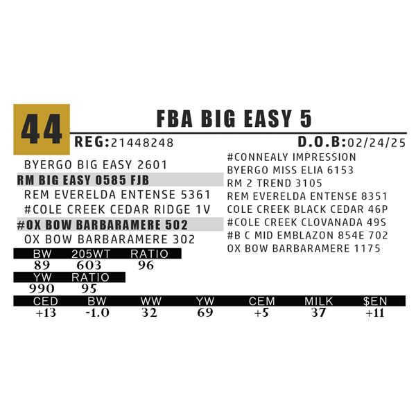 FBA BIG EASY 5