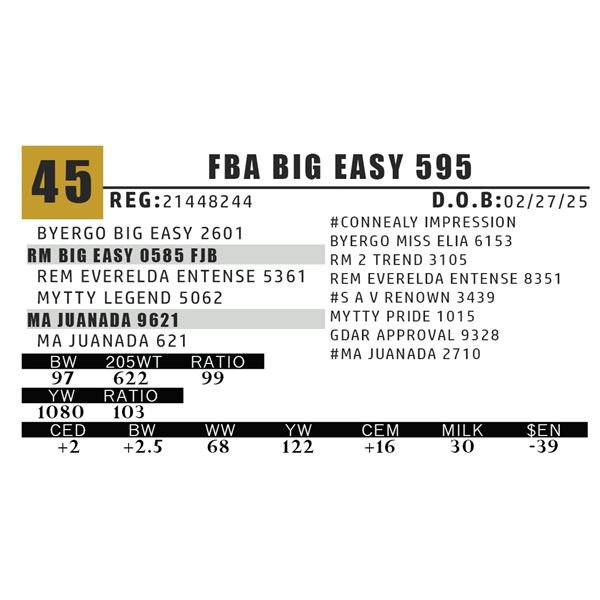 FBA BIG EASY 595