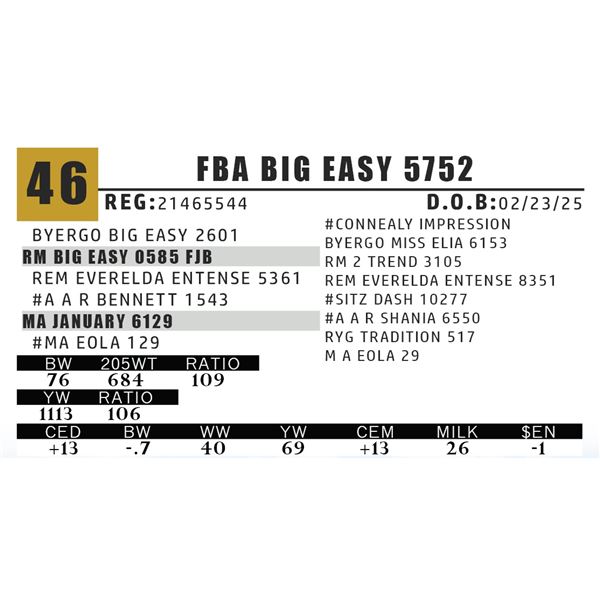 FBA BIG EASY 5752