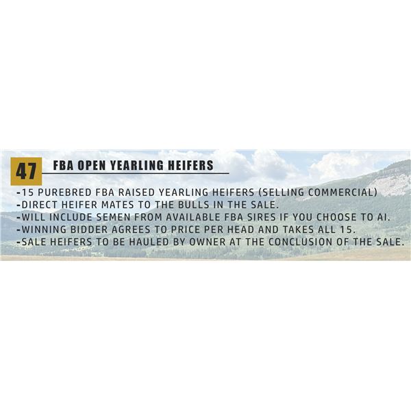 FBA OPEN YEARLING HEIFERS