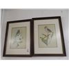 Image 1 : Framed Flower Bird Print Artist Art Lamay 23" x 20"