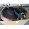 Image 2 : Asst. Hats