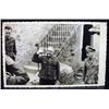 Image 1 : WW2 NAZI GERMAN ARCHIVES PHOTO SOLDIERS - 2 SALUTI