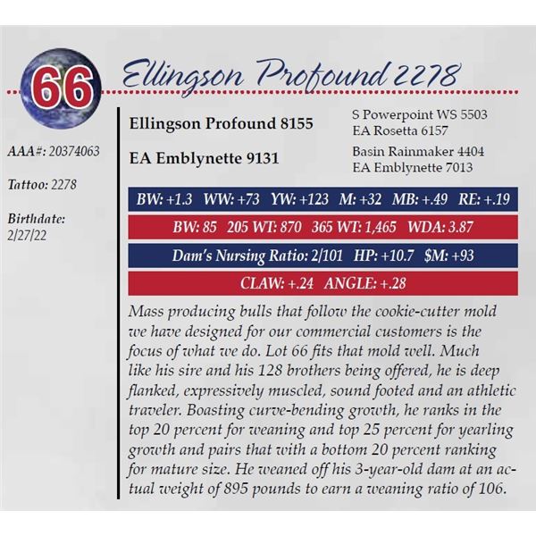 ELLINGSON PROFOUND 2278