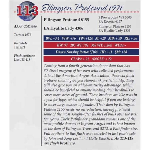 ELLINGSON PROFOUND 1971