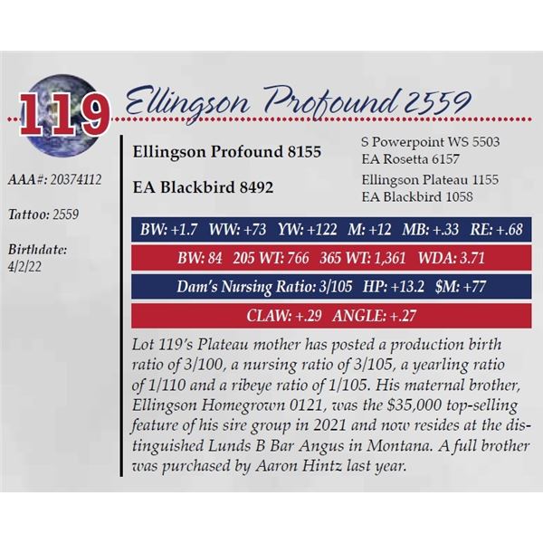ELLINGSON PROFOUND 2559