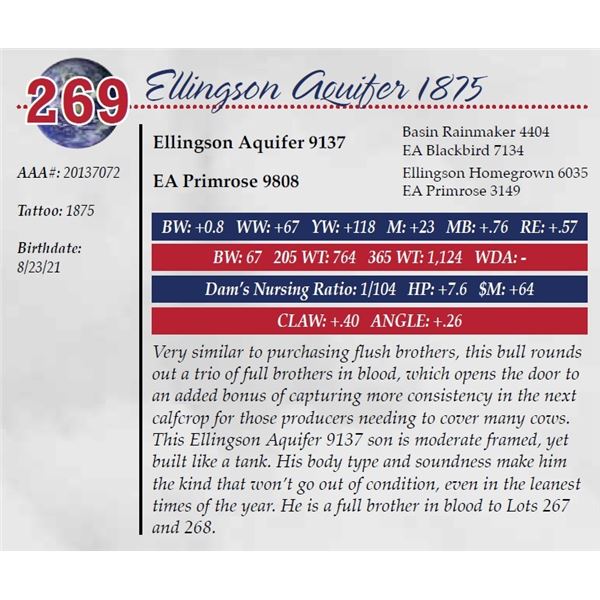 ELLINGSON AQUIFER 1875