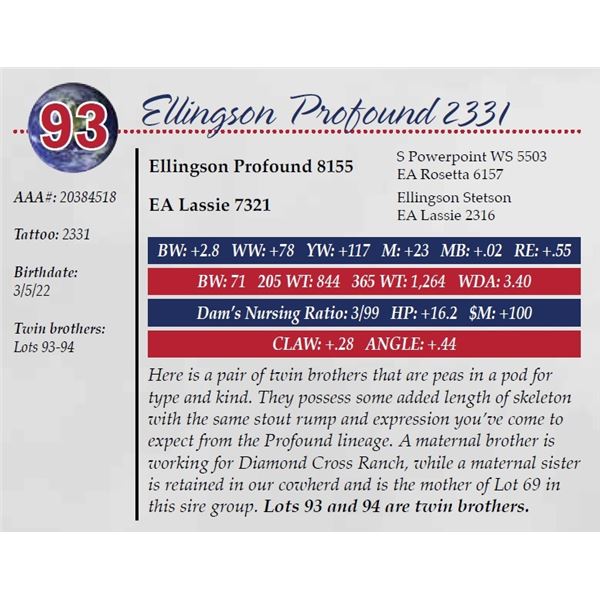 ELLINGSON PROFOUND 2331