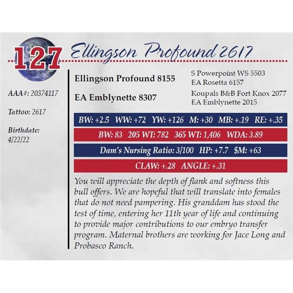 ELLINGSON PROFOUND 2617