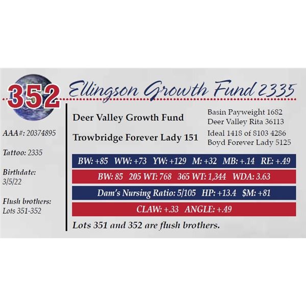 ELLINGSON GROWTH FUND 2335