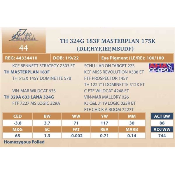 TH 324G 183F MASTERPLAN 175K